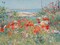 Garden, Isle Of Shoals, Maine Poster Print by Frederick Childe Hassam - Item # VARPDX3AA2192